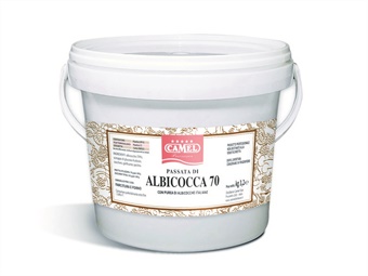 PASSATA ALBICOCCA 70% KG 3,2