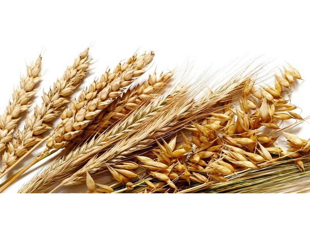VARIEGATO AI 5 CEREALI KG 4