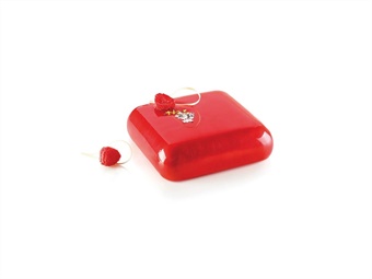 STAMPO SILICONE GEM 1000 MM 160 X 160  H 50
