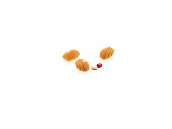 STAMPO SILICONE MADELEINE XS13 MM 45X33 H 16 - 18 IMPRONTE