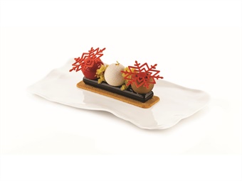 STAMPO SILICONE INVERNO MM 67X47 -DIAM 60 (2 MOD) 12 IMPRONTE PER FIGURA