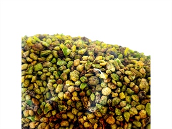GRANELLA DI PISTACCHIO CARAMELLATA KG 1
