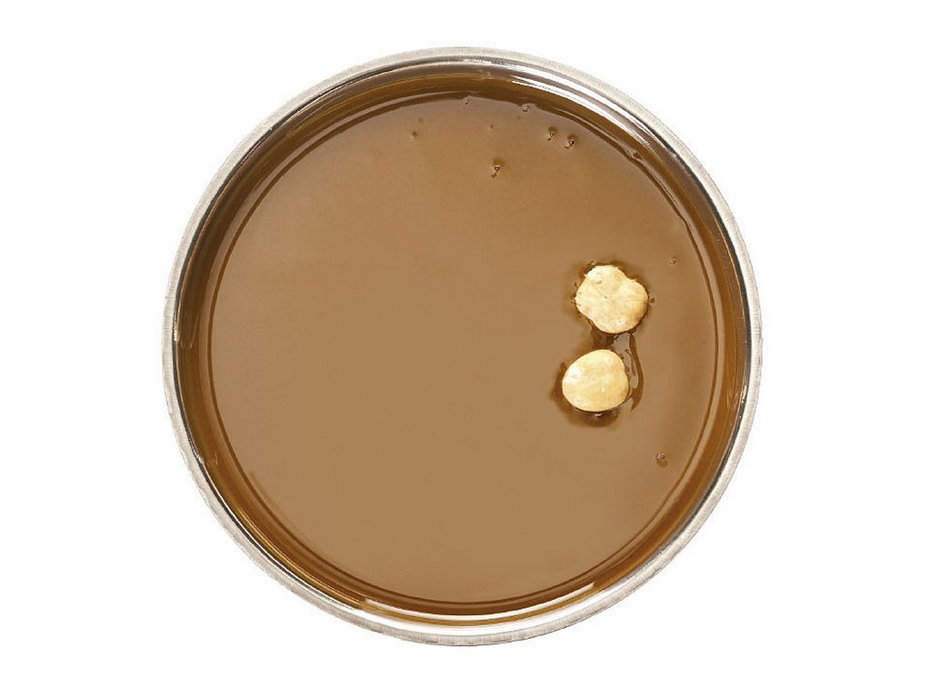 PASTA NOCCIOLA TGT KG 3