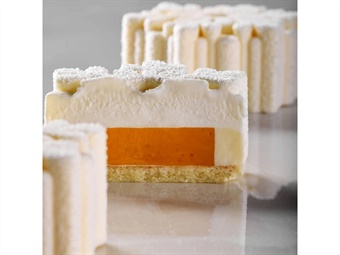 STAMPO SILICONE FIOCCO DI NEVE  DIAM MM 75X35 12 IMPR 40X30 VOL 110ML