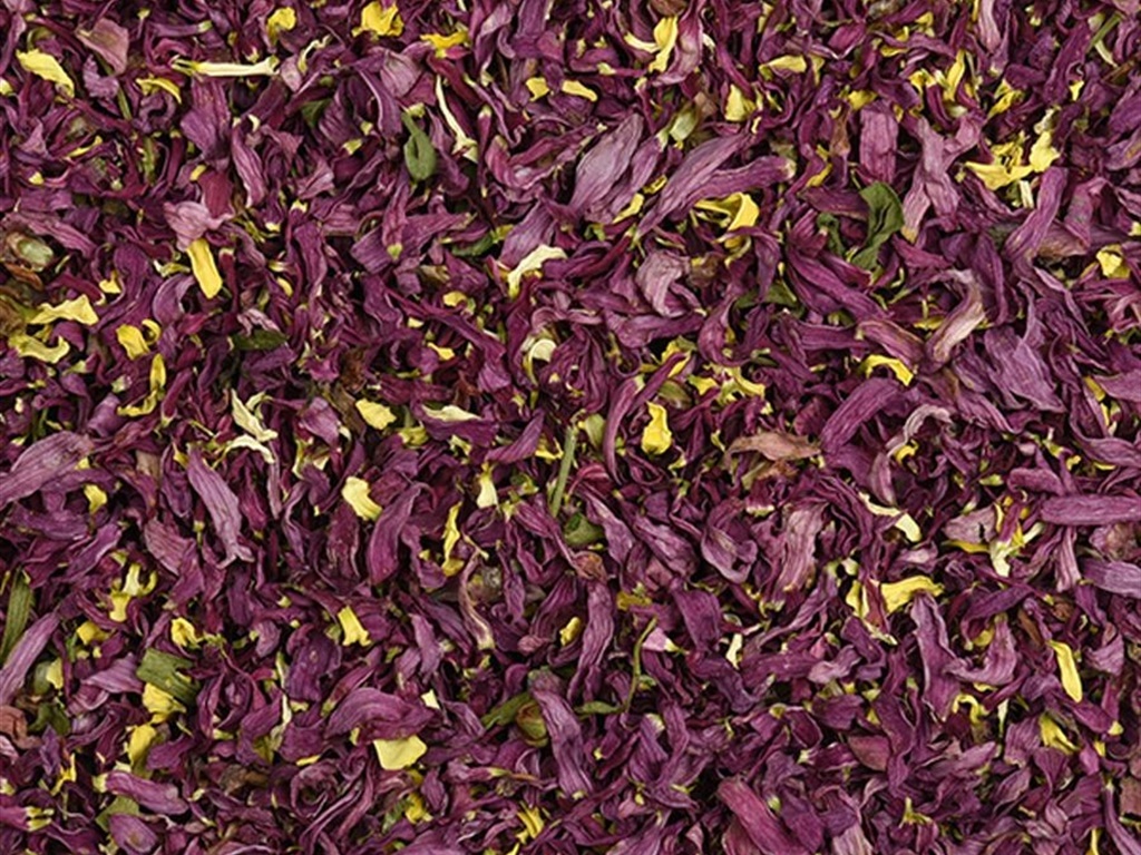 MICRO PETALI DALIA E MARGHERITA ROSA G 10