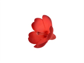 DEC ZUC FIORE CAMPANULA ROSSA DIAM CM 2,7 PZ 60