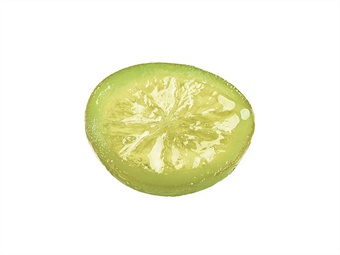 LIME CANDITO A RONDELLE KG 5