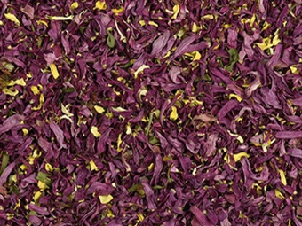 MICRO PETALI DALIA E MARGHERITA ROSA G 10