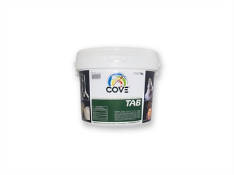 PASTA DI ZUCCHERO COVETAB PER MODELLAGGIO E  RICOPERTURE KG 3,5
