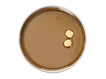 PASTA NOCCIOLA TGT KG 3