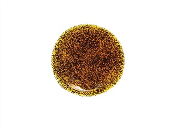 PASTA VANIGLIA BOURBON KG 1