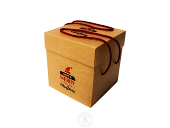 SCATOLA PANETTONE QUADRATA PANETTONE ALTO KG 1 C/COPERCHIO E LACCI CM 20X20 H 22 PEZZI 5