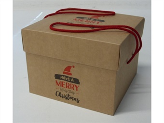 SCATOLA PANETTONE QUADRATA PANETTONE BASSO KG 1 C/COPERCHIO E LACCI CM 24X24 H 18 PEZZI 5